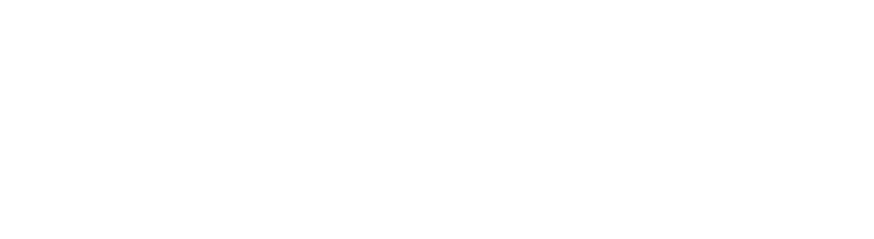 Roy Yapı